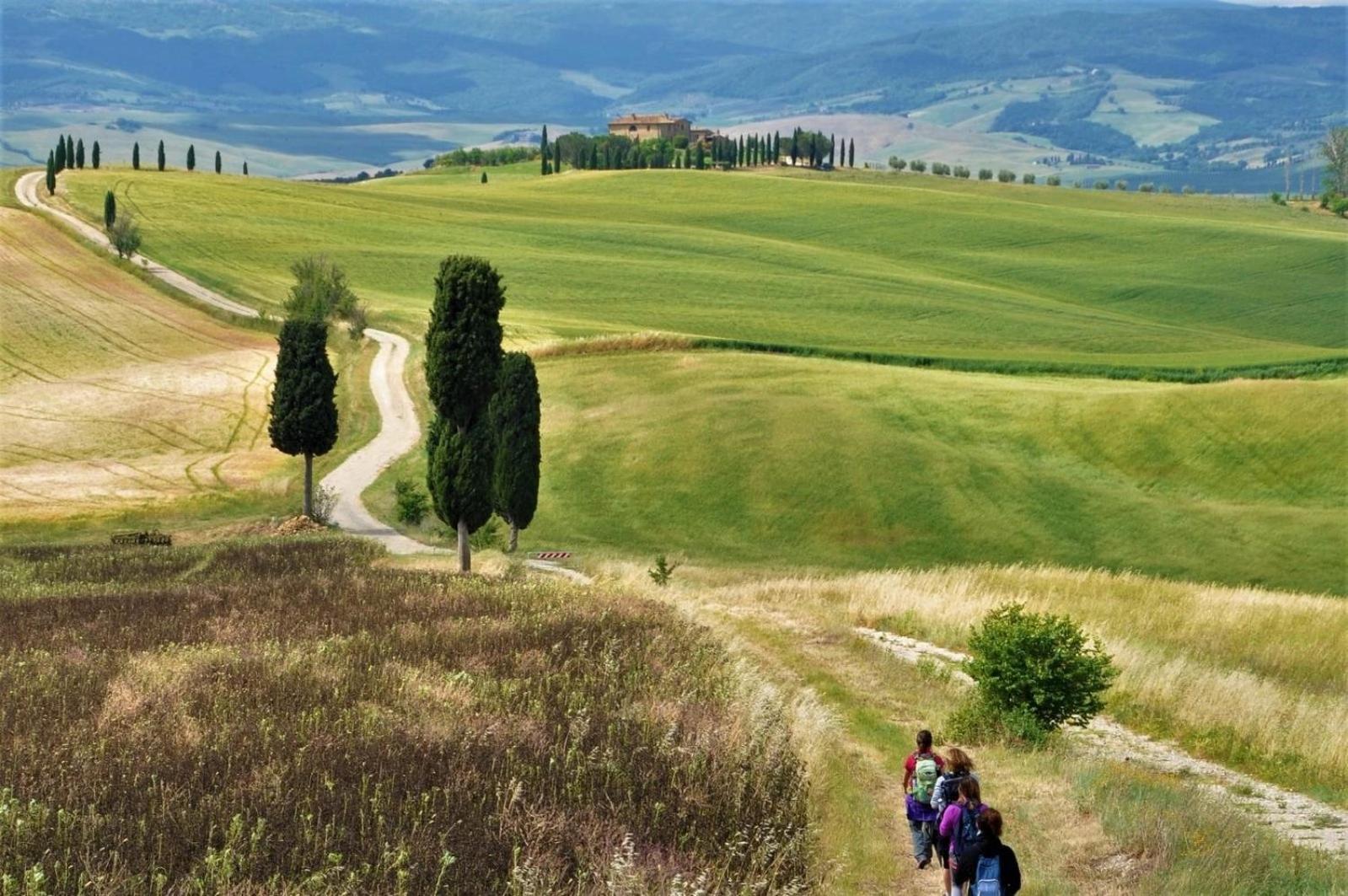 Agriturismo Le Sorbelle D'Orcia Con Piscina Pienza Exteriör bild