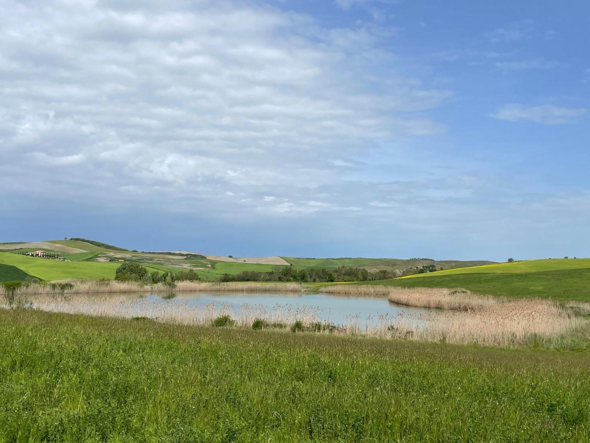 Agriturismo Le Sorbelle D'Orcia Con Piscina Pienza Exteriör bild